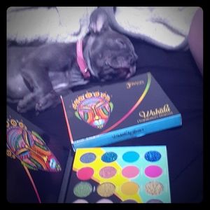 I'm selling a female WAHALA make up pallet .